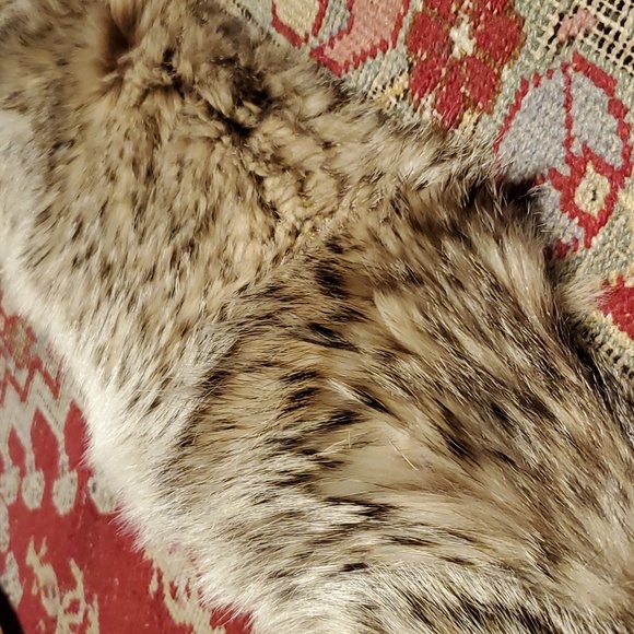 💥SOLD💥HUGE"Wolf Fur Collar - Picture 3 of 13